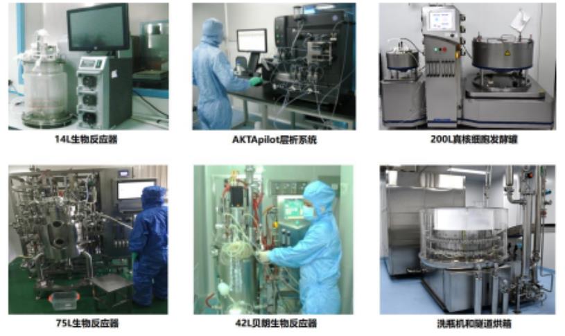 達(dá)博生物 CDMO 服務(wù)平臺