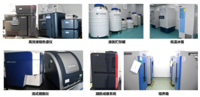 達(dá)博生物 CDMO 服務(wù)平臺