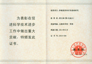 自然科學(xué)獎(jiǎng)一等獎(jiǎng)