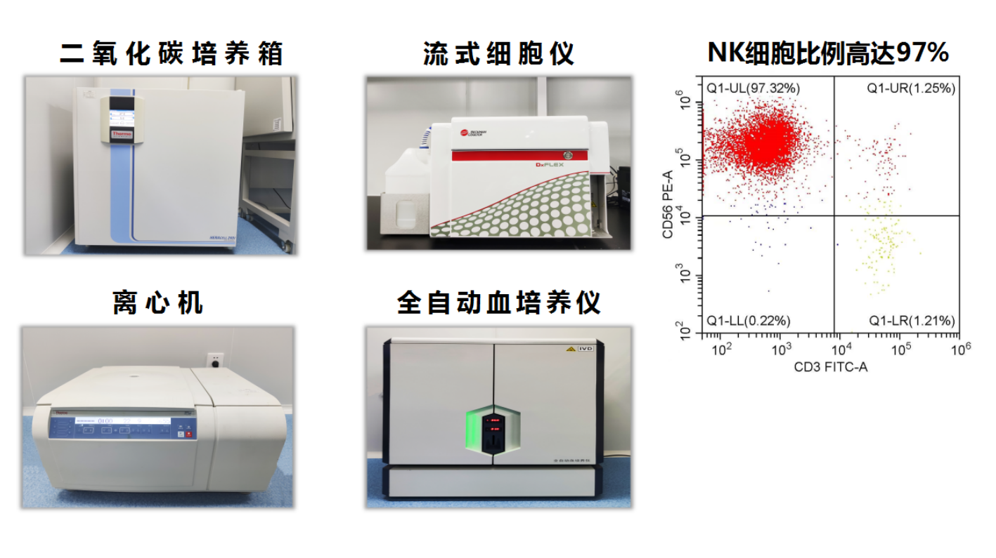 免疫細(xì)胞技術(shù)平臺(tái)