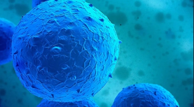 達博生物人臍帶間充質(zhì)干細胞Ⅰ期臨床研究啟動會順利召開！